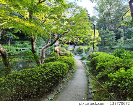 坎塞南公園，2022年10月清晨 135770672