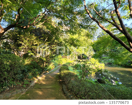 Kansenen Park Early morning October 2022 135770673