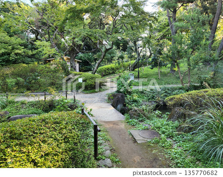Kansenen Park Early morning October 2022 135770682