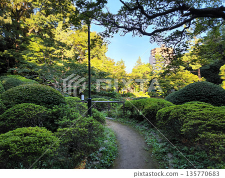 Kansenen Park Early morning October 2022 135770683