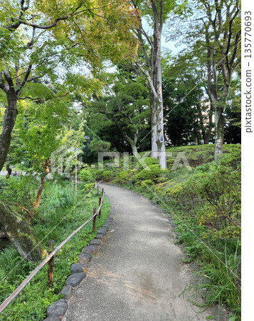 Kansenen Park Early morning October 2022 135770693