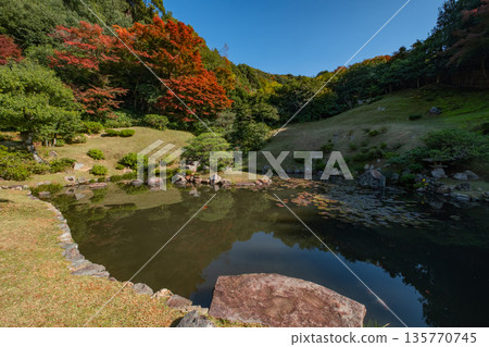 鳥取縣鳥取市觀音院庭園的秋景 135770745