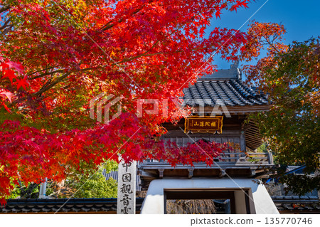 Autumn at Kannon-in Temple Gate, Tottori City, Tottori Prefecture Autumn at Kannon-in Temple Gate, Tottori City, Tottori Prefecture 135770746