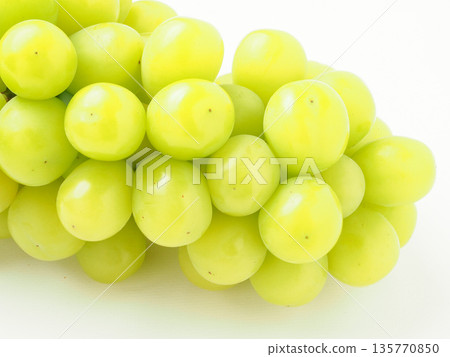 閃耀馬斯喀特 135770850