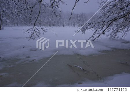 雪湖 雪湖 135771153