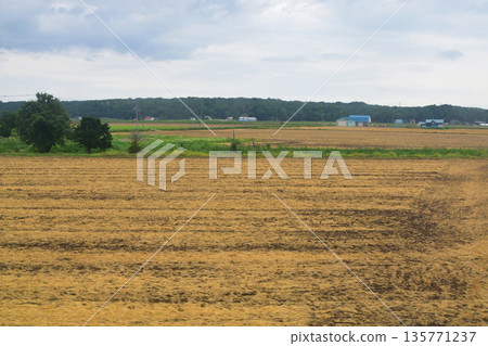JR Hokkaido Sassho Line: Train window view between Ainosato Kyoikudai Station and Tobetsu Station (cloudy in the summer of 2023) 135771237