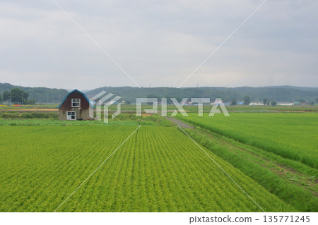 JR Hokkaido Sassho Line: Train window view between Ainosato Kyoikudai Station and Tobetsu Station (cloudy in the summer of 2023) JR Hokkaido Sassho Line: Train window view between Ainosato Kyoikudai Station and Tobetsu Station (cloudy in the summer of 2023) 135771245