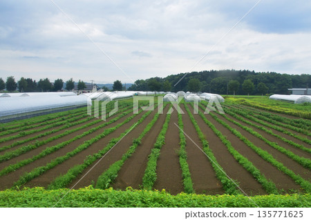 JR Hokkaido Sassho Line: Train window and station scenery between Tobetsu Station and Hokkaido Medical University Station (cloudy in summer 2023) 135771625