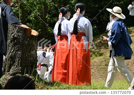 Priests and shrine maidens in the shrine grounds Priests and shrine maidens in the shrine grounds 135772070