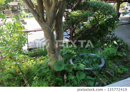 雲仙溫泉神社 135772419