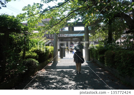 夏日午後，陽光透過樹木灑在寺廟的庭院裡。 135772424