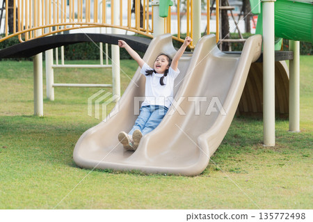 Joyful Child Sliding Down Playground Slide in Sunny Park, Capturing Pure Happiness and Playful Moments of Childhood Fun Outdoors 135772498