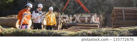 Several people working in primary industries such as forestry. Measuring logs with a vernier caliper. Image of timber materials for real estate. Several people working in primary industries such as forestry. Measuring logs with a vernier caliper. Image of timber materials for real estate. 135772676