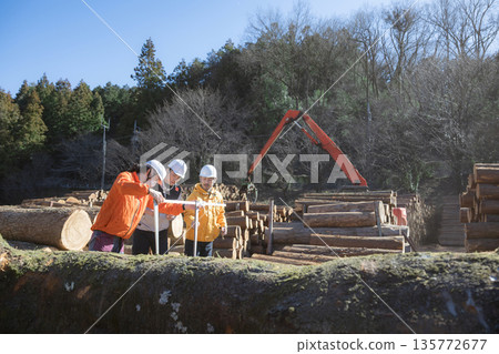 Several people working in primary industries such as forestry. Measuring logs with a vernier caliper. Image of timber materials for real estate. 135772677