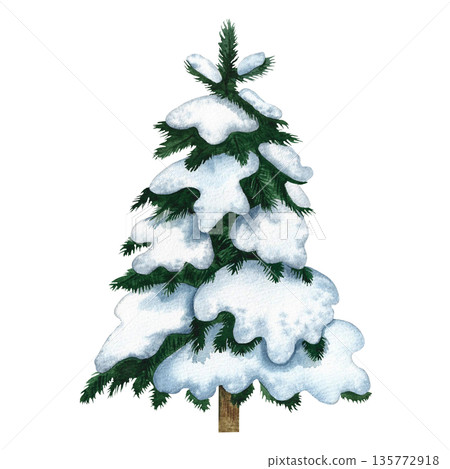 Snow-covered Christmas tree. Hand-drawn watercolor illustration of a snowy winter tree. Isolate. Design element for festive Christmas greeting cards, posters, banners, packaging, and more. 135772918