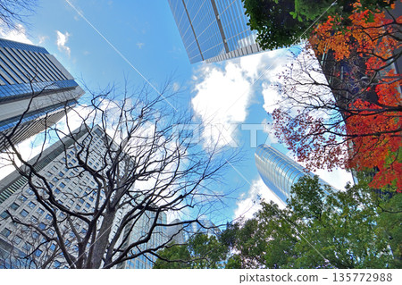 Autumn leaves decorating the courtyard of Shinagawa Intercity Autumn leaves decorating the courtyard of Shinagawa Intercity 135772988