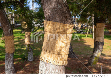 Also winding Also winding 135772998