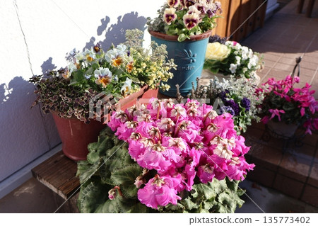 入口前的冬季花盆 135773402