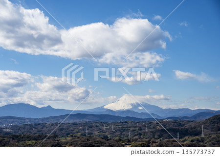 Mount Fuji, Shonandai, Komayama Park, Winter, January [Hiratsuka City, Kanagawa Prefecture] 135773737