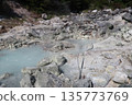 Unzen Jigokudani 135773769