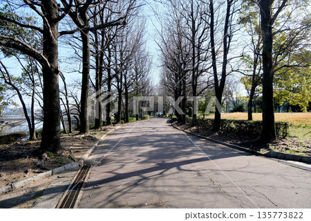 愛知縣名古屋市港區荒川公園18號,2024年3月 愛知縣名古屋市港區荒川公園18號,2024年3月 135773822