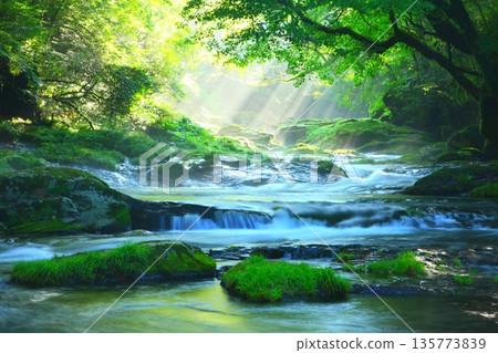 Beautiful rays of light shine through Kikuchi Valley (Kikuchi City, Kumamoto Prefecture) Beautiful rays of light shine through Kikuchi Valley (Kikuchi City, Kumamoto Prefecture) 135773839