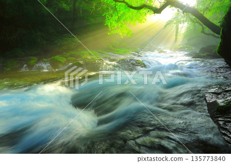 Beautiful rays of light shine through Kikuchi Valley (Kikuchi City, Kumamoto Prefecture) Beautiful rays of light shine through Kikuchi Valley (Kikuchi City, Kumamoto Prefecture) 135773840