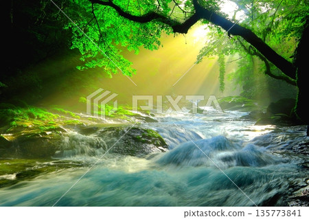 Beautiful rays of light shine through Kikuchi Valley (Kikuchi City, Kumamoto Prefecture) 135773841
