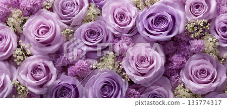 優雅華麗的玫瑰花牆背景 | 淺紫色 135774317