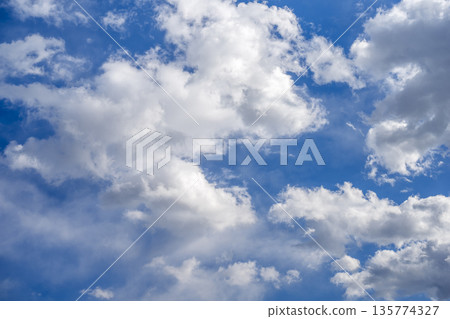 Winter sky, blue sky, clear sky, winter, January [Tokyo] 135774327