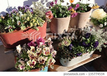 Flower arrangements and pots in front of the entrance Flower arrangements and pots in front of the entrance 135774534