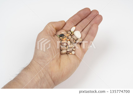 dried legumes in the palm of the hand 135774700