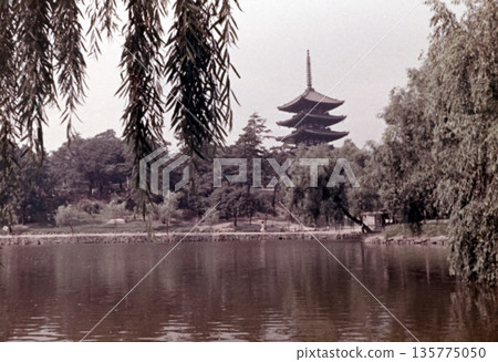 1956年的老照片:奈良公園的猿澤池和興福寺的五重塔。 1956年的老照片:奈良公園的猿澤池和興福寺的五重塔。 135775050