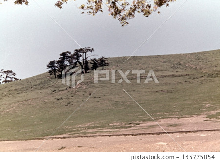 Old photo from 1956, Mount Wakakusa in Nara Park Old photo from 1956, Mount Wakakusa in Nara Park 135775054