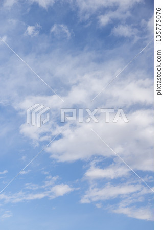 冬日的天空，藍天，晴空，冬天，一月 [東京] 135775076