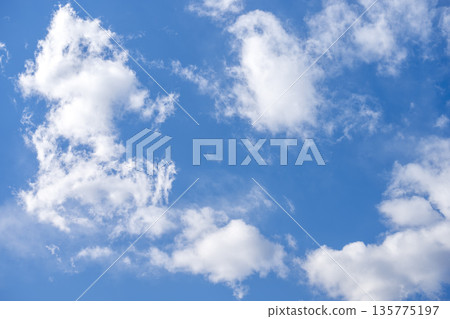 冬日的天空，藍天，晴空，冬天，一月 [東京] 135775197