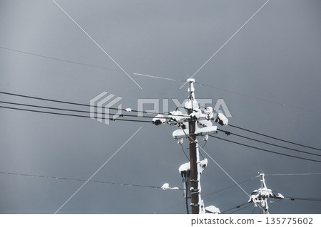 A crow on a telephone pole in a snowy landscape 135775602