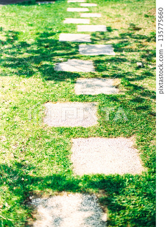 Green grass road Green grass road 135775660