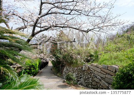 廣島縣福山市_硫王寺門1_2025年3月 廣島縣福山市_硫王寺門1_2025年3月 135775877