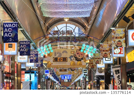 Tanukikoji Shopping Street in Sapporo, Hokkaido 135776114