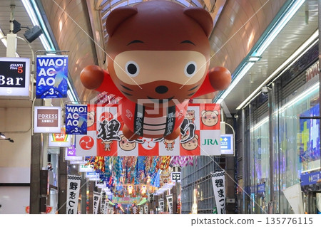 Tanukikoji Shopping Street in Sapporo, Hokkaido 135776115