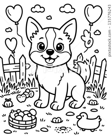 Coloring page with an adorable corgi puppy in a fenced yard with balloons and toys 135776243