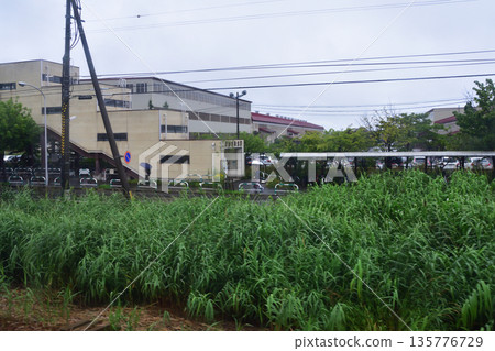 從JR北海道函館本線札幌車站到八重車站的當地列車車窗外景色（2023年夏雨） 135776729