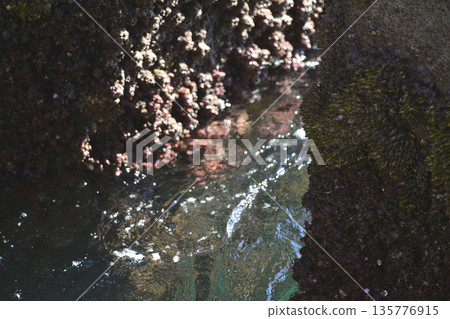 Breakwater at Hayama Port, seawater mixed with rocks and seaweed Breakwater at Hayama Port, seawater mixed with rocks and seaweed 135776915