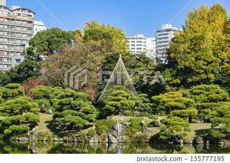 Kiyosumi Garden, Koto Ward, Tokyo, Large Spring, Nakanoshima, Autumn Scenery, Metropolitan Designated Place of Scenic Beauty Kiyosumi Garden, Koto Ward, Tokyo, Large Spring, Nakanoshima, Autumn Scenery, Metropolitan Designated Place of Scenic Beauty 135777195
