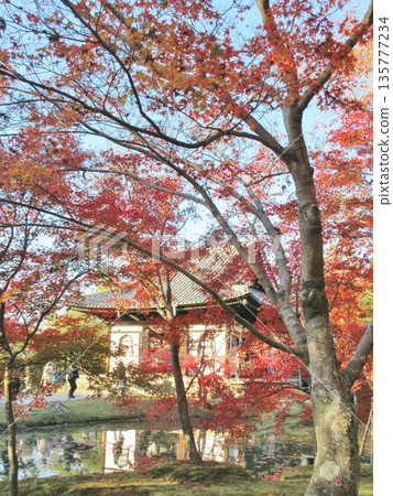 高台寺：秋葉與海山堂 135777234