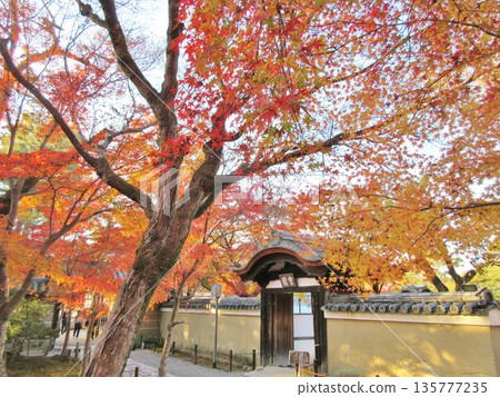 高台寺秋葉 高台寺秋葉 135777235
