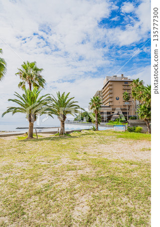 愛知縣蒲郡市西浦海灘週邊的景色 135777300