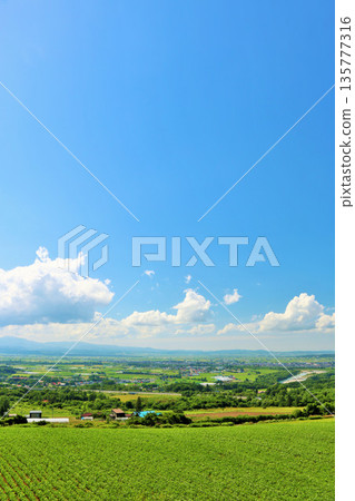 北海道夏天藍天和地球 北海道夏天藍天和地球 135777316