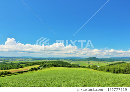 北海道夏天藍天和地球 135777319